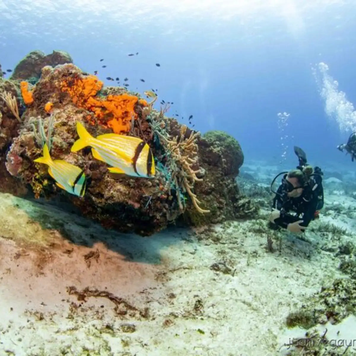 Cozumel Dive Center