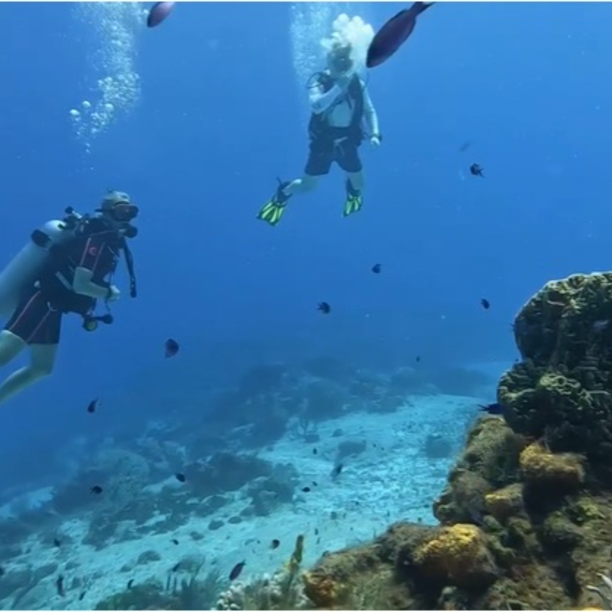 Deep Mexico Dive Cozumel