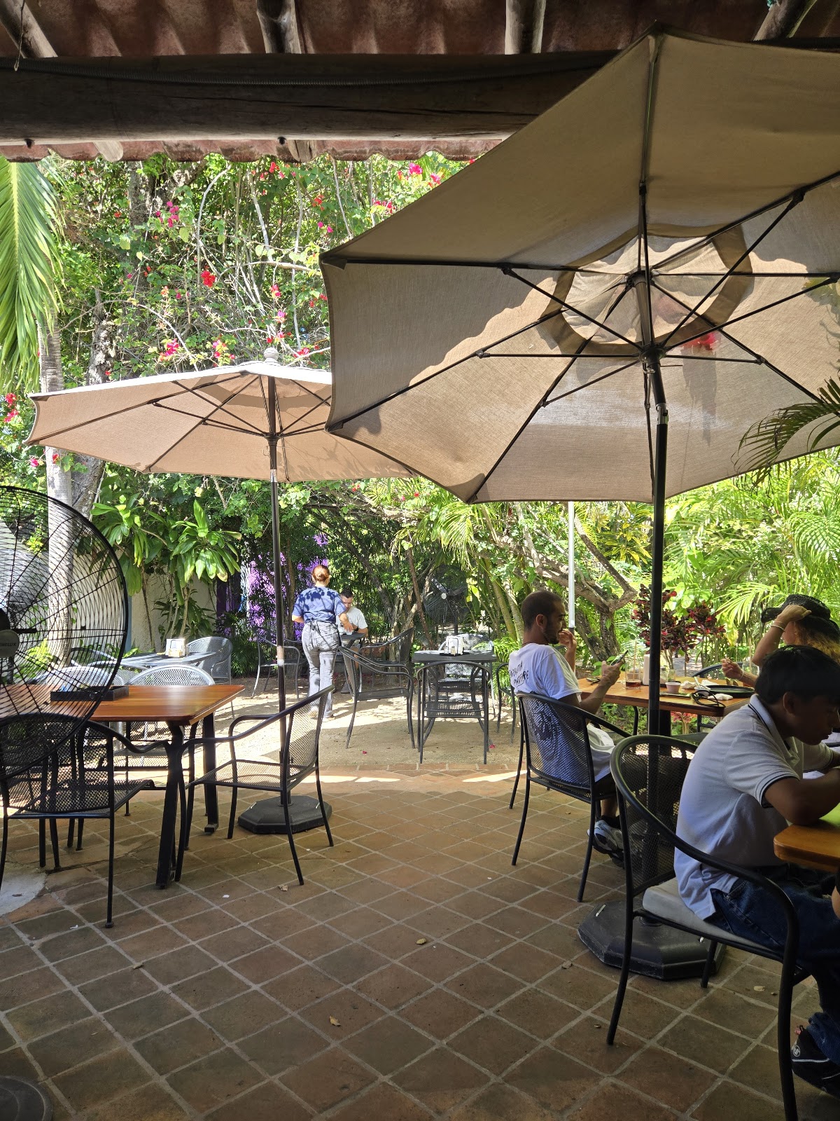 Cafe de Isla