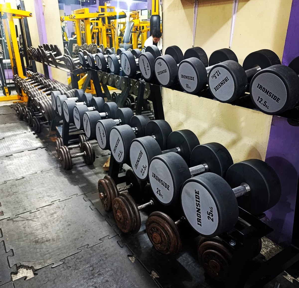 GYM Muscle & Fitness