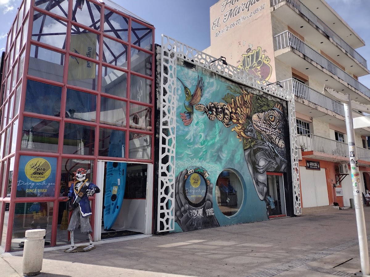 Prodive Dive Shop