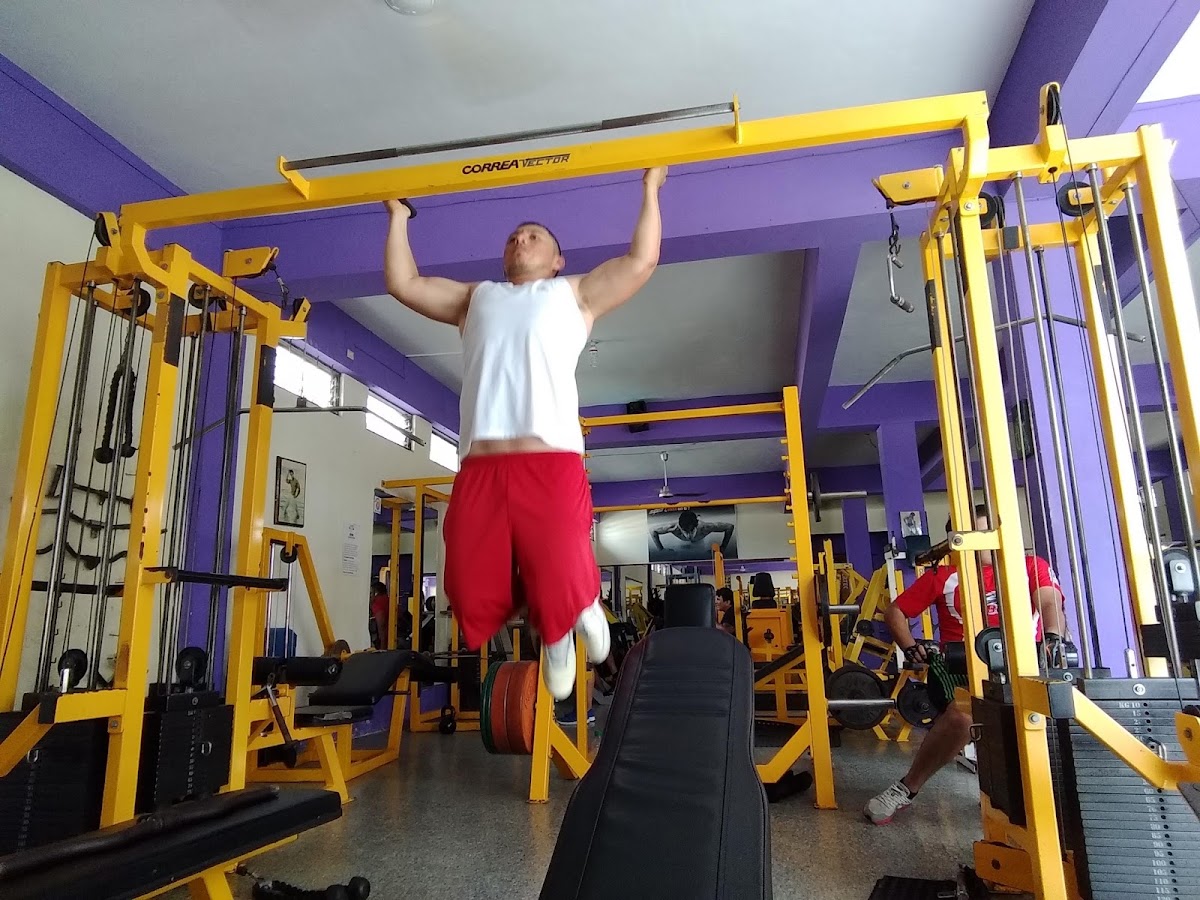 GYM Muscle & Fitness — photo