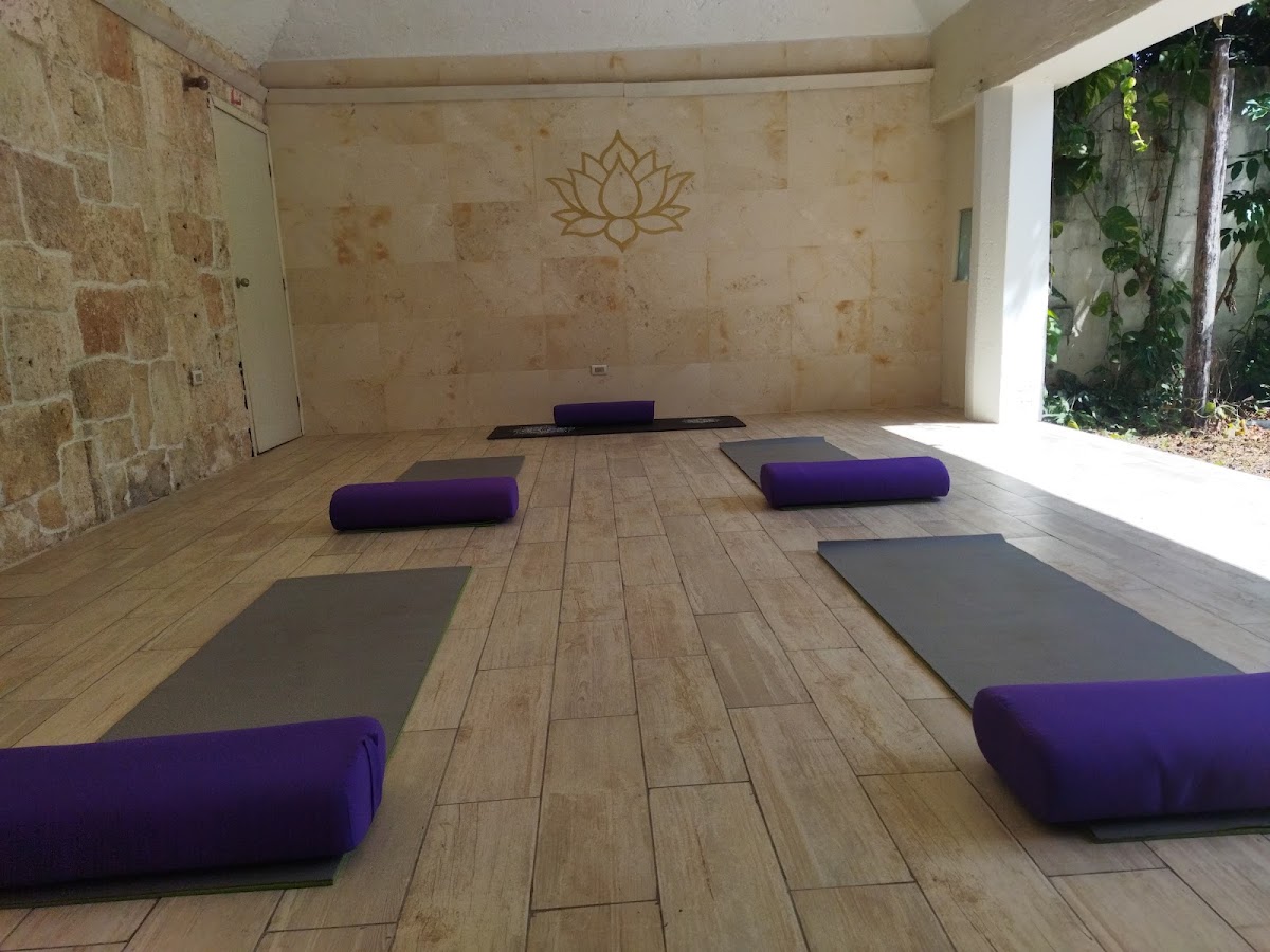 Yoga Terapéutica Cozumel — photo