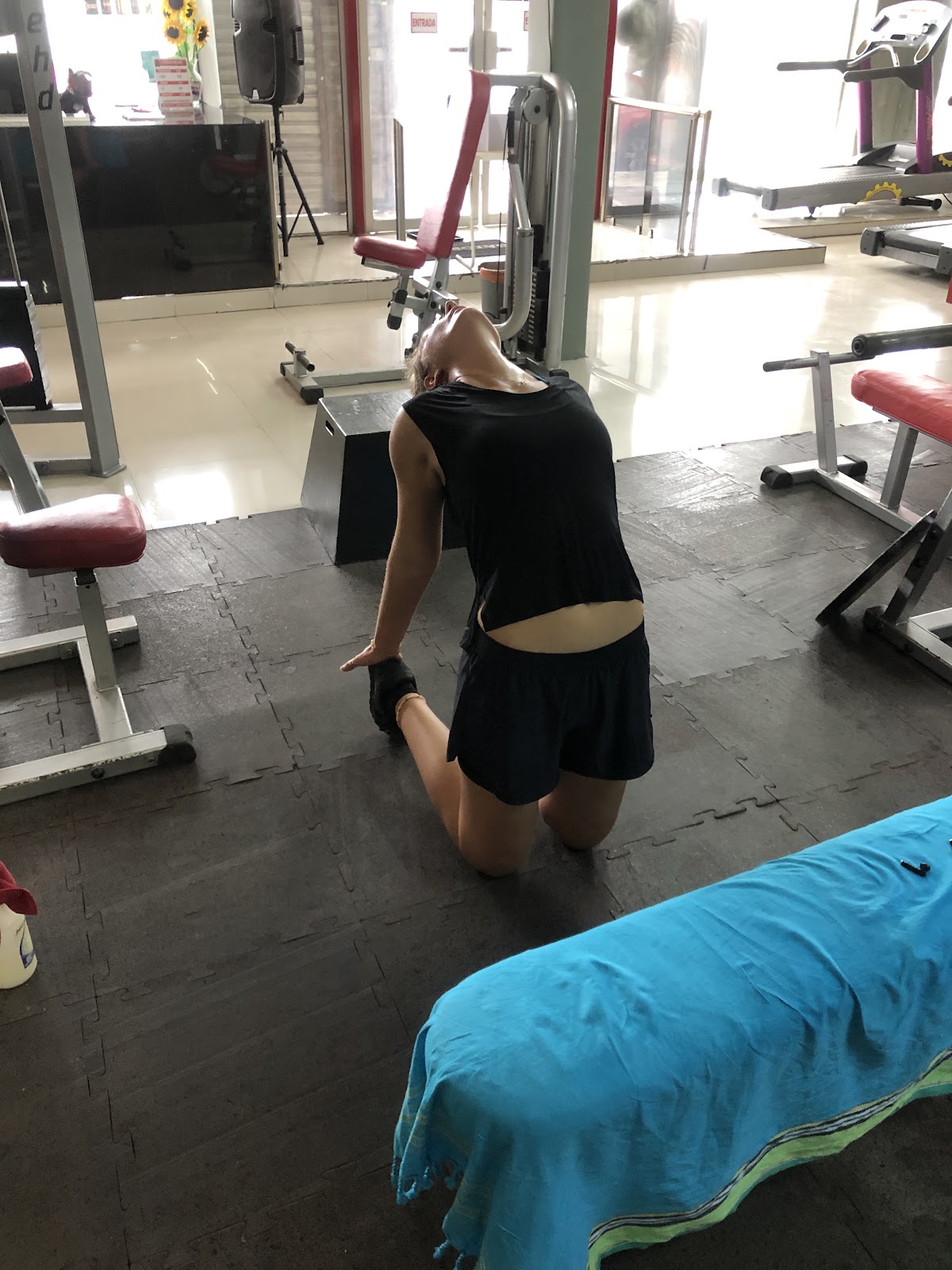 GREKO GYM — photo