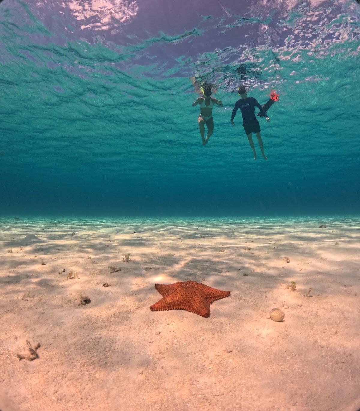 Snorkel El Cielo Cozumel — photo