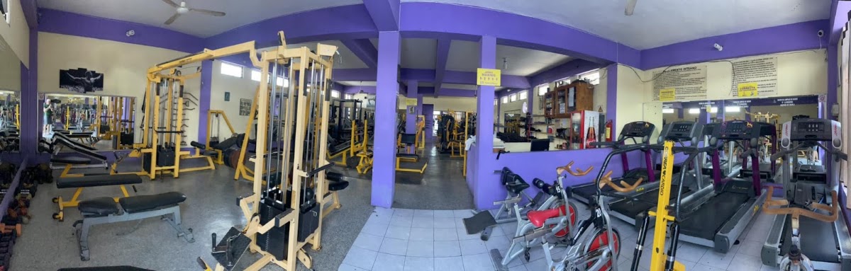 GYM Muscle & Fitness — photo