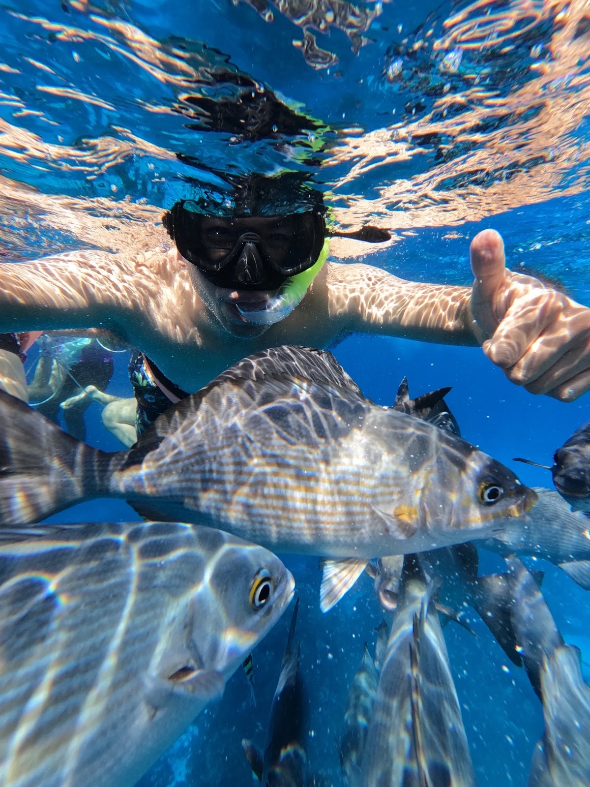Cozumel Anglers — photo