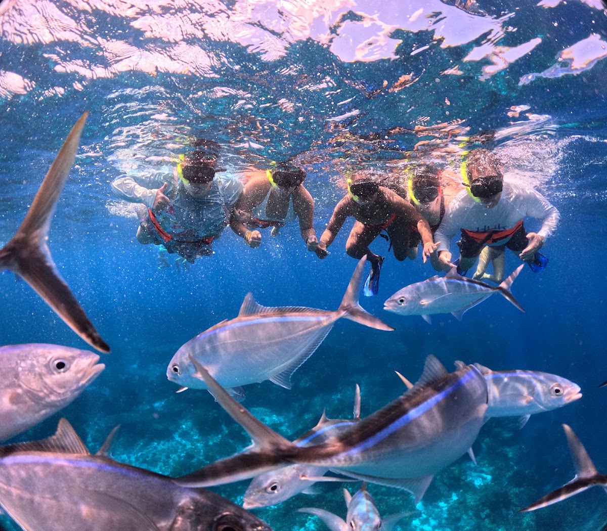 Snorkel El Cielo Cozumel — photo