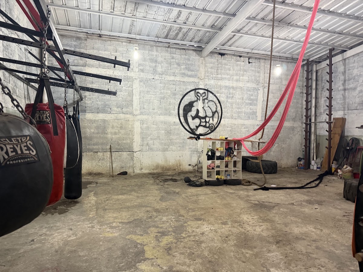GREKO GYM — photo