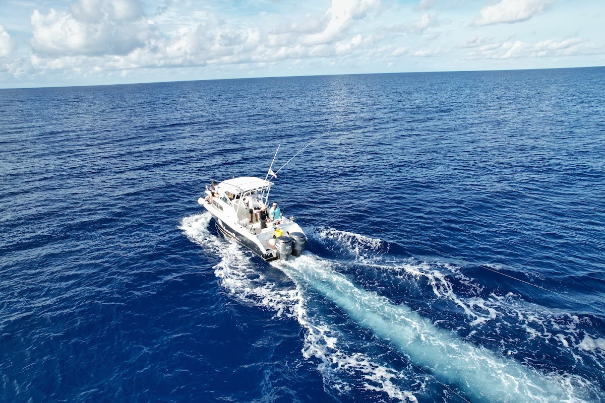 Sammy's Cozumel Sport Fishing — photo