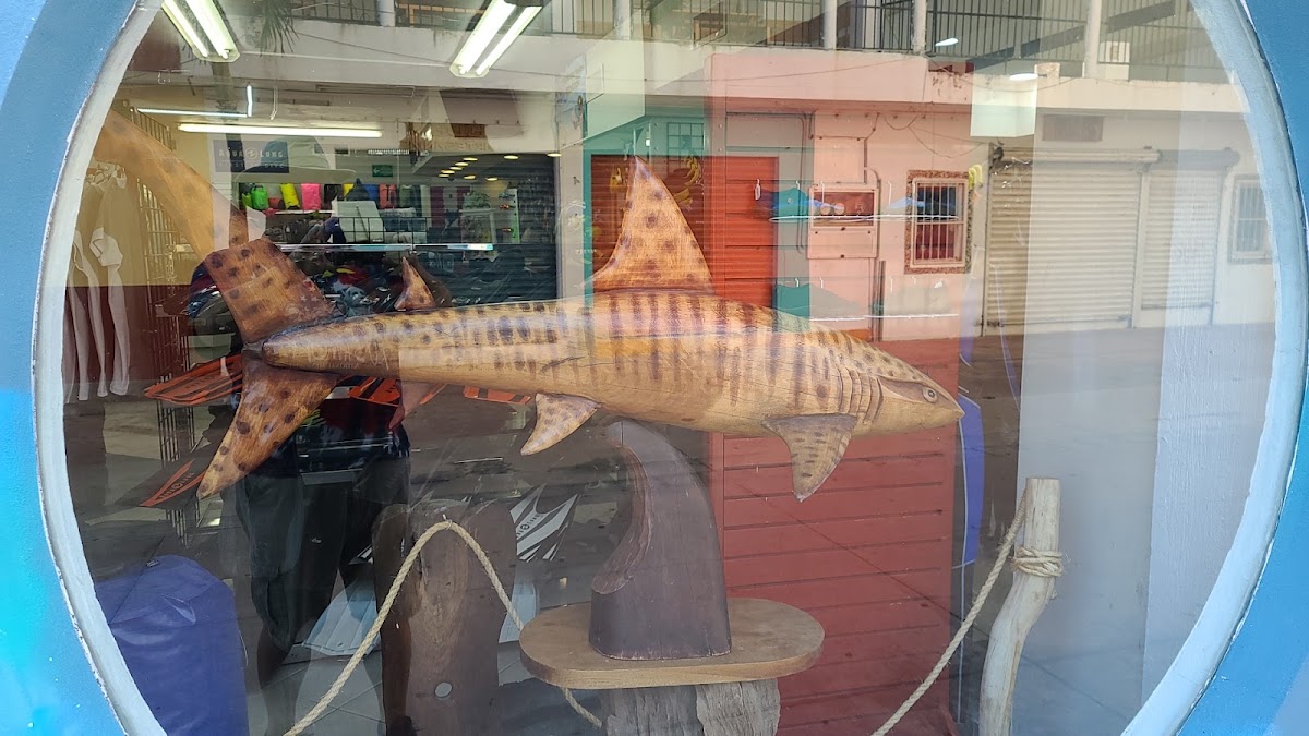 Prodive Dive Shop — photo