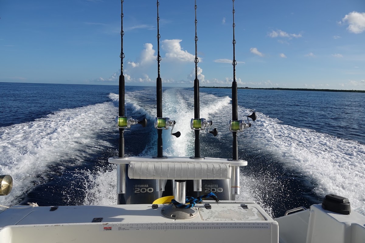 Sammy's Cozumel Sport Fishing — photo