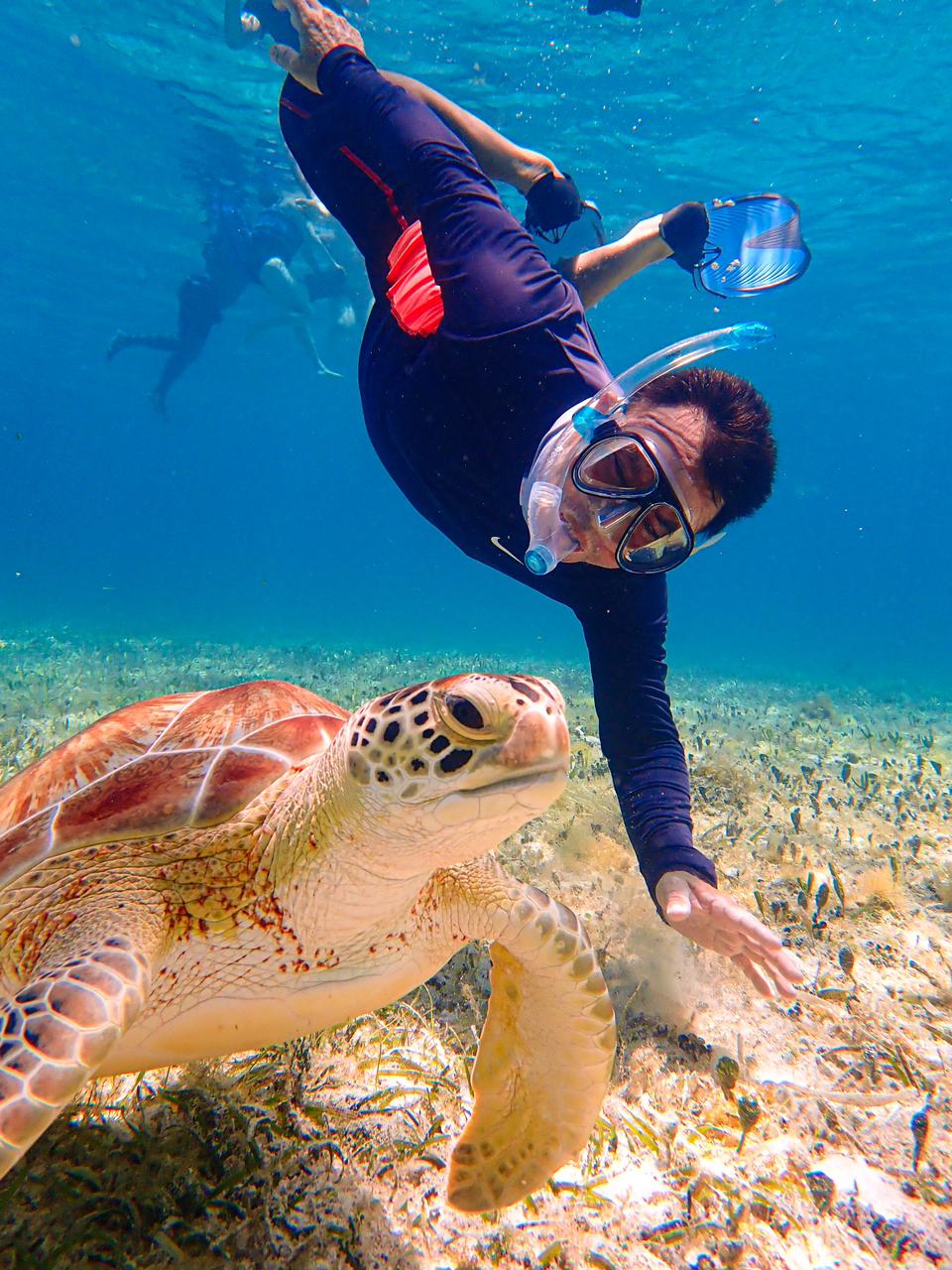 Snorkel El Cielo Cozumel — photo