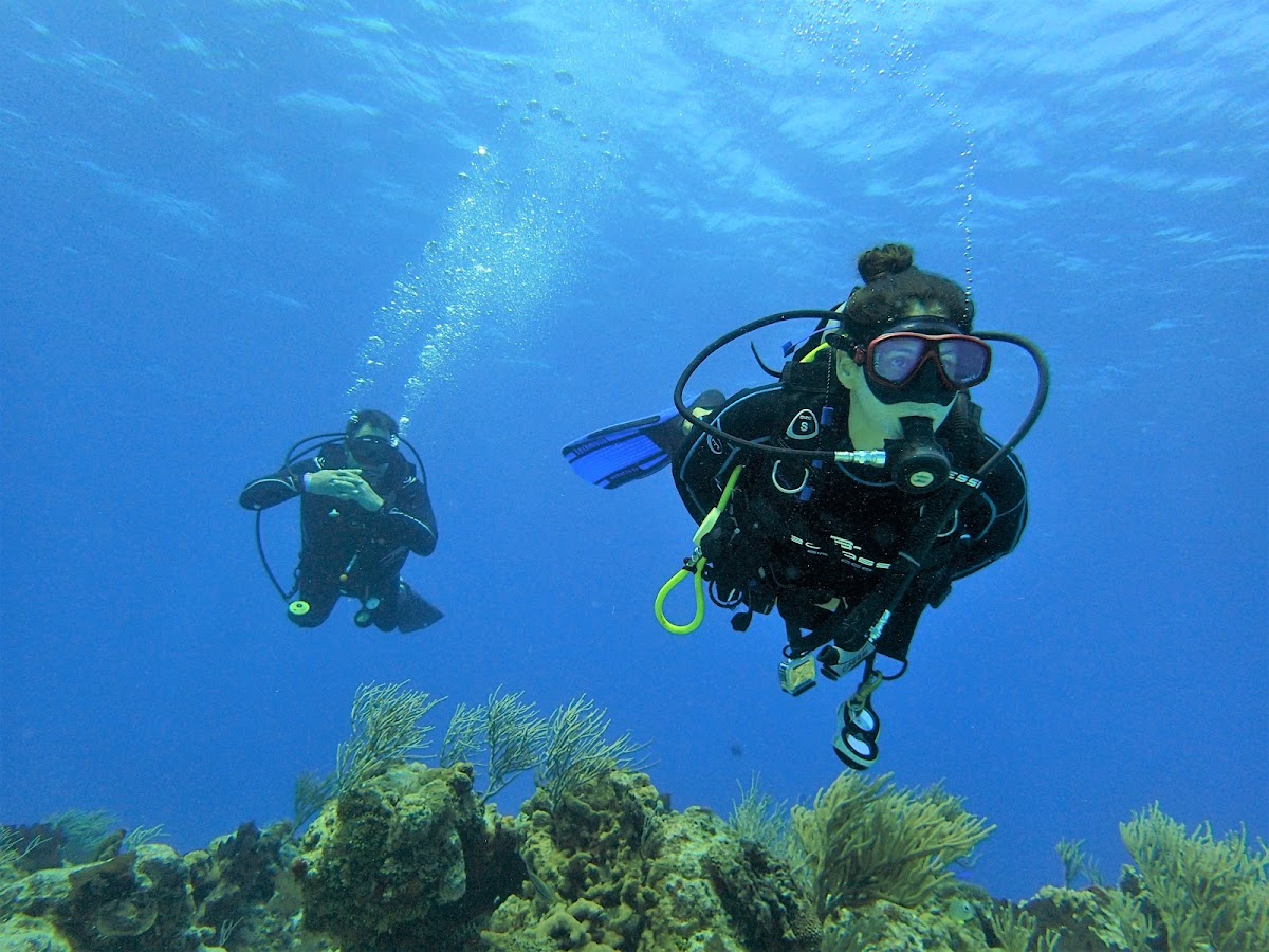 Blu-emotion Cozumel
