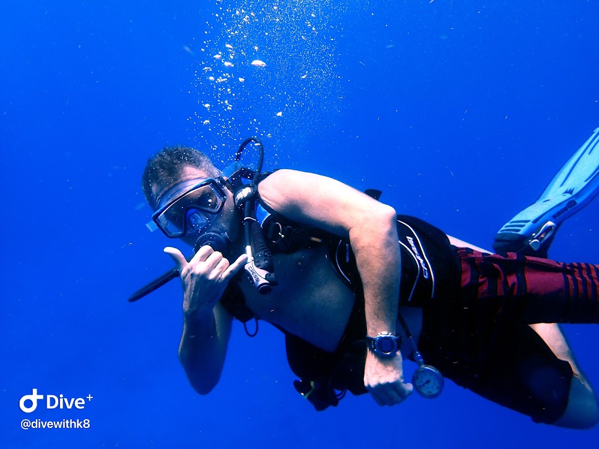 Dive With K8