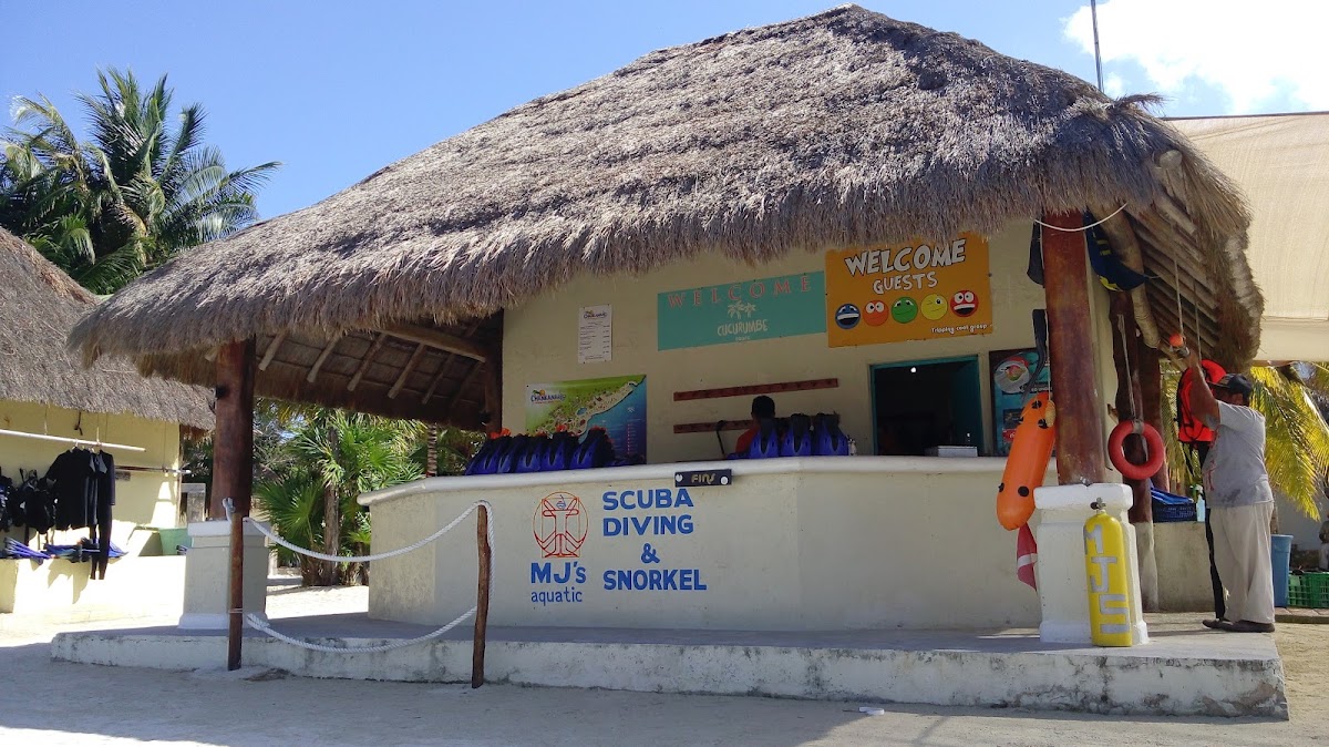 Mj'S Scuba Dive Cozumel