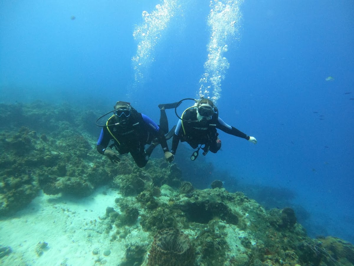 Plongée Grand Cozumel Diving