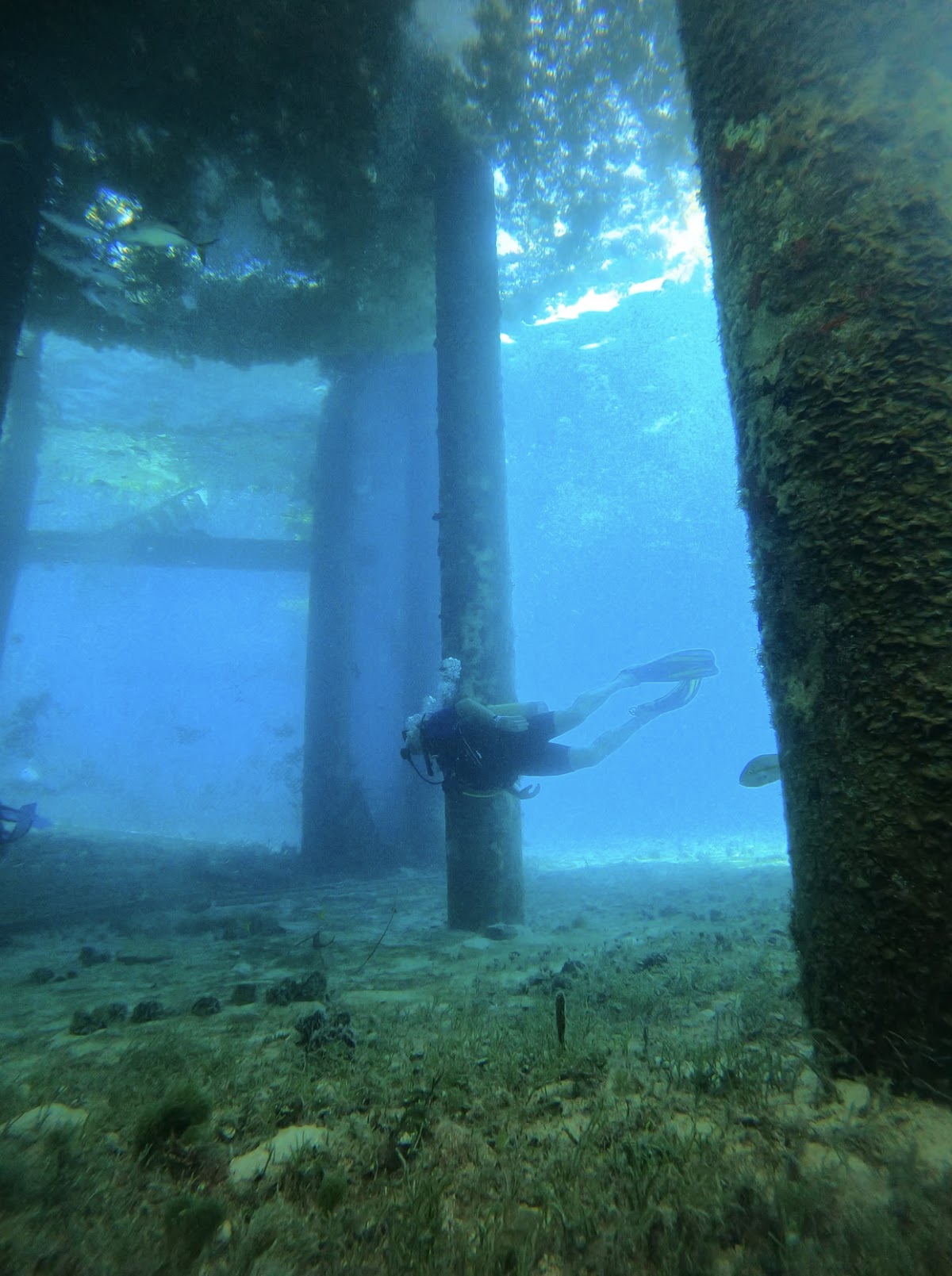 Ramon Zapata Divers