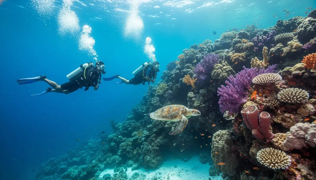 10 Common Beginner Diver Mistakes in Cozumel (and How to Avoid Them)