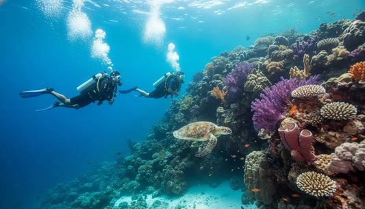 10 Common Beginner Diver Mistakes in Cozumel (and How to Avoid Them)
