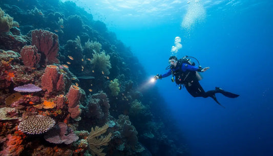 Advanced Open Water Cozumel: Your Ultimate Course Guide