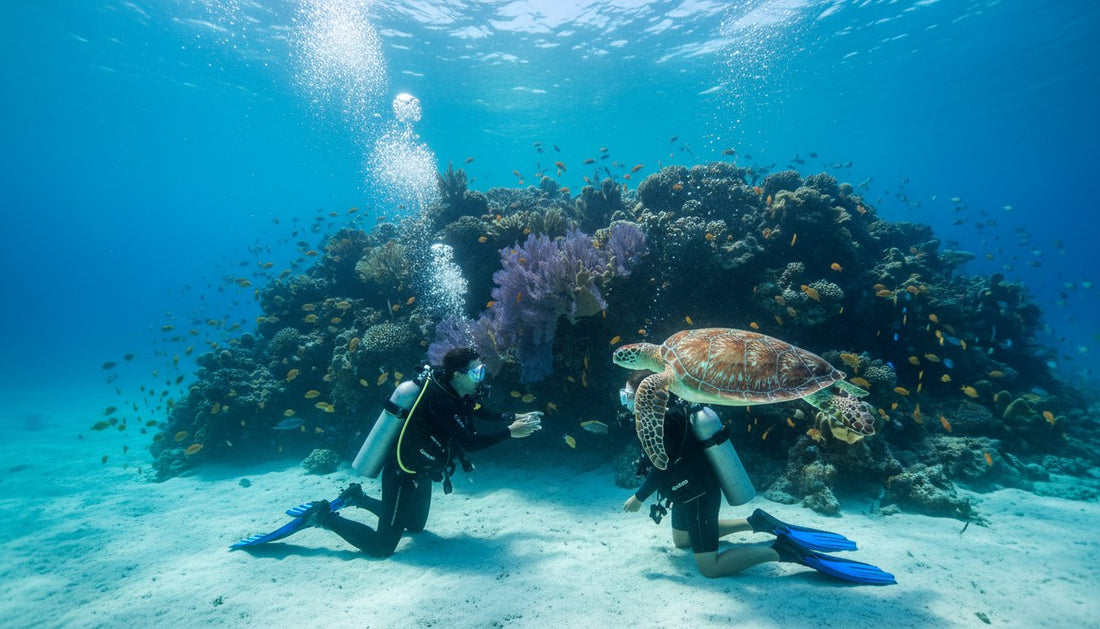 Get Your PADI Certification in Cozumel: The Ultimate Guide