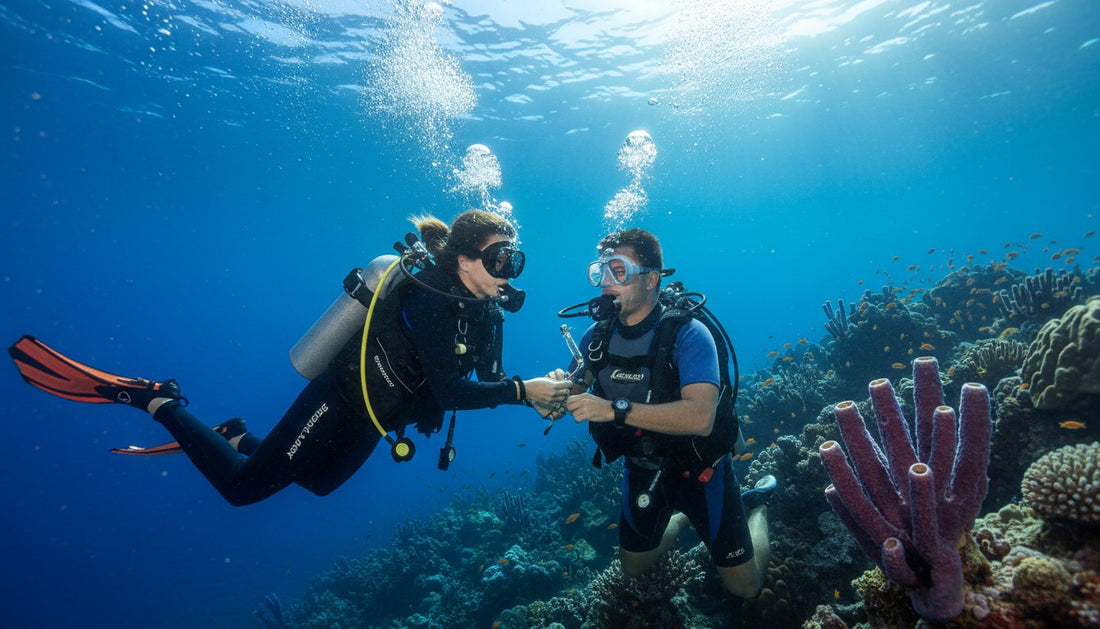 PADI Rescue Diver Cozumel: Become the Best Buddy You Can Be