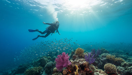Is Cozumel Good for Beginner Divers? The Ultimate Guide