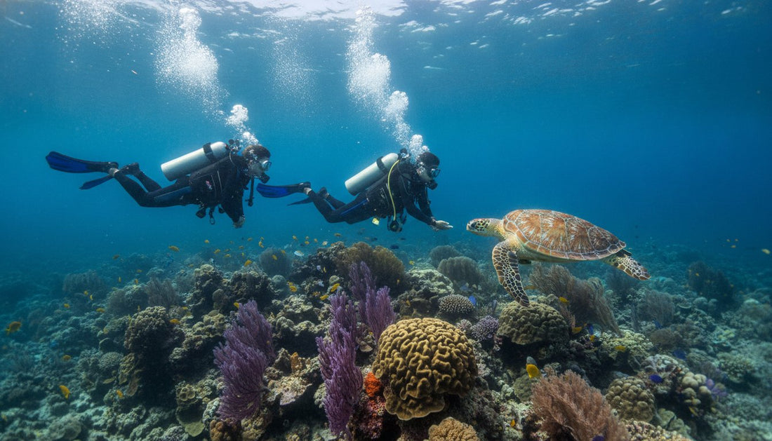 Responsible Diving Practices in Cozumel: A 2026 Eco-Guide for Conscious Divers