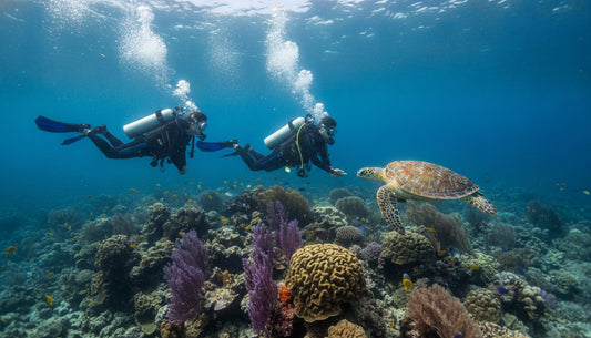 Responsible Diving Practices in Cozumel: A 2026 Eco-Guide for Conscious Divers