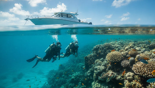 Travel Insurance for Cozumel Scuba Diving: The Essential 2026 Guide