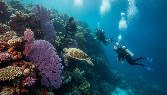 Avoiding Tourist Traps in Cozumel Diving: 10 Pro Tips for an Authentic Experience (2026)
