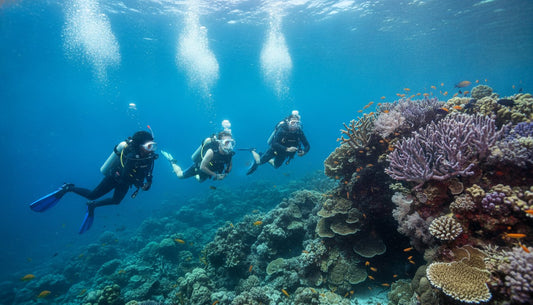 Cozumel Diving Health and Safety Tips: A Complete Guide for 2026