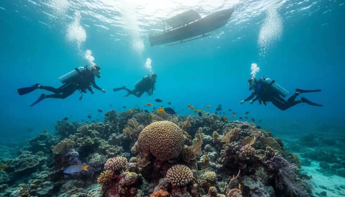 Avoiding Crowded Dive Boats in Cozumel: A Local’s Insider Guide