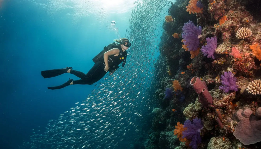 Becoming a Dive Professional in Cozumel: The Ultimate Guide to Your Scuba Career