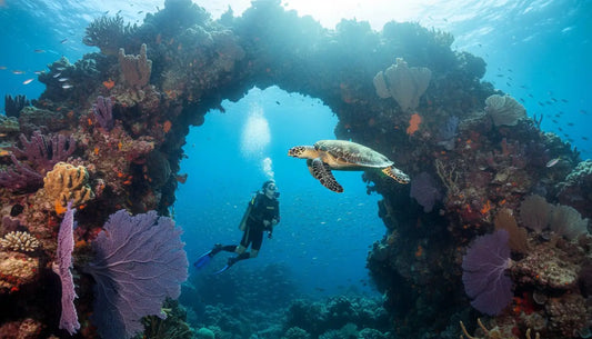 Best Cozumel Dive Sites for Marine Life: A Local Expert's Guide (2026)