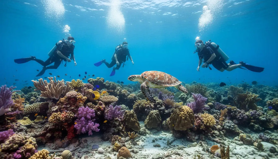 Book Cozumel Fun Dives: Your Ultimate Underwater Adventure Awaits!