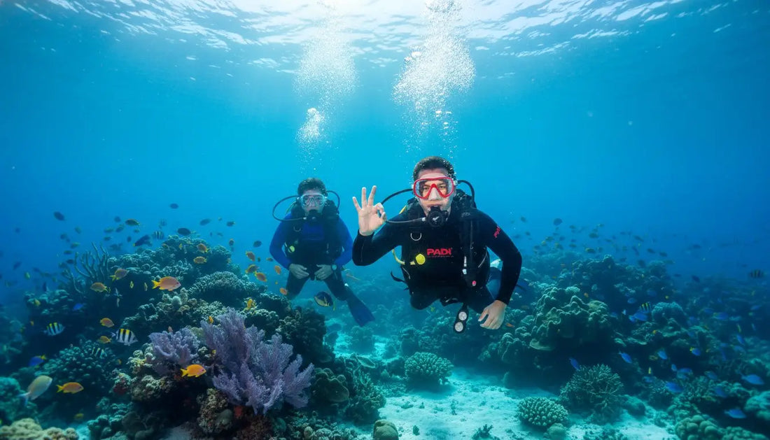 Book Your PADI Course in Cozumel: The Ultimate Dive Adventure Awaits!