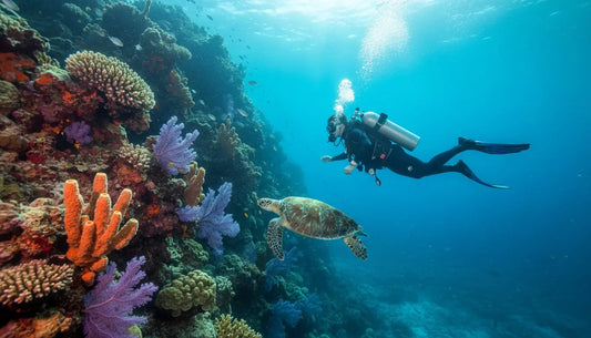 Booking Your Two-Tank Dive in Cozumel: The Ultimate Adventure Awaits!