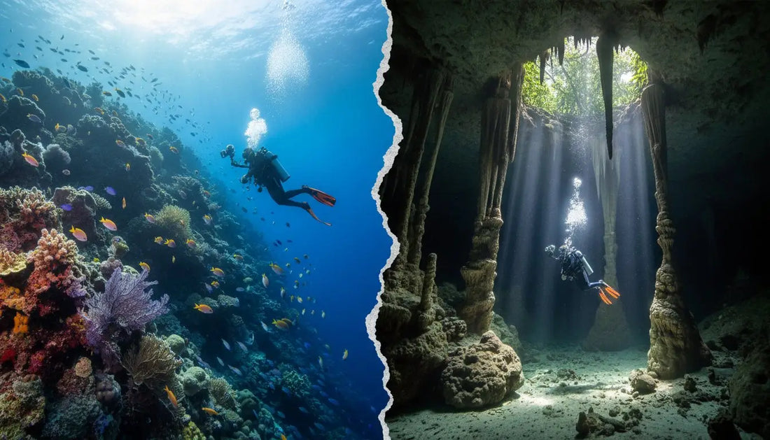Cenote Diving vs. Cozumel Reef Diving: Which One Is Right for You?