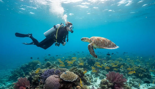 Cozumel Beginner Diving: Your First Underwater Adventure Awaits!