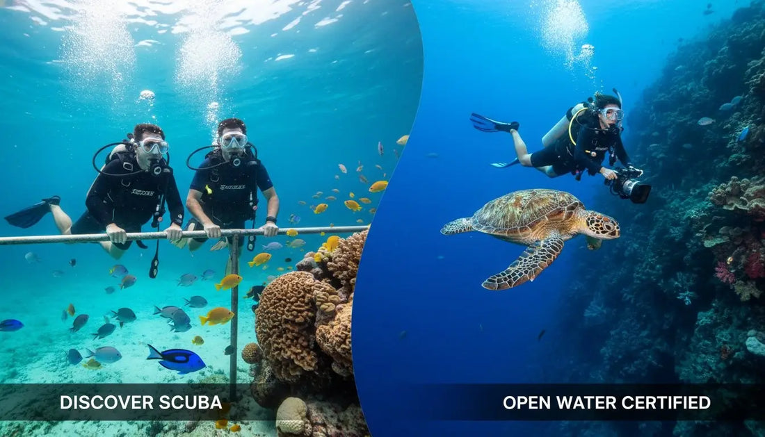 Cozumel Discover Scuba Diving vs. Open Water Certification: Which is Right for Your Vacation?