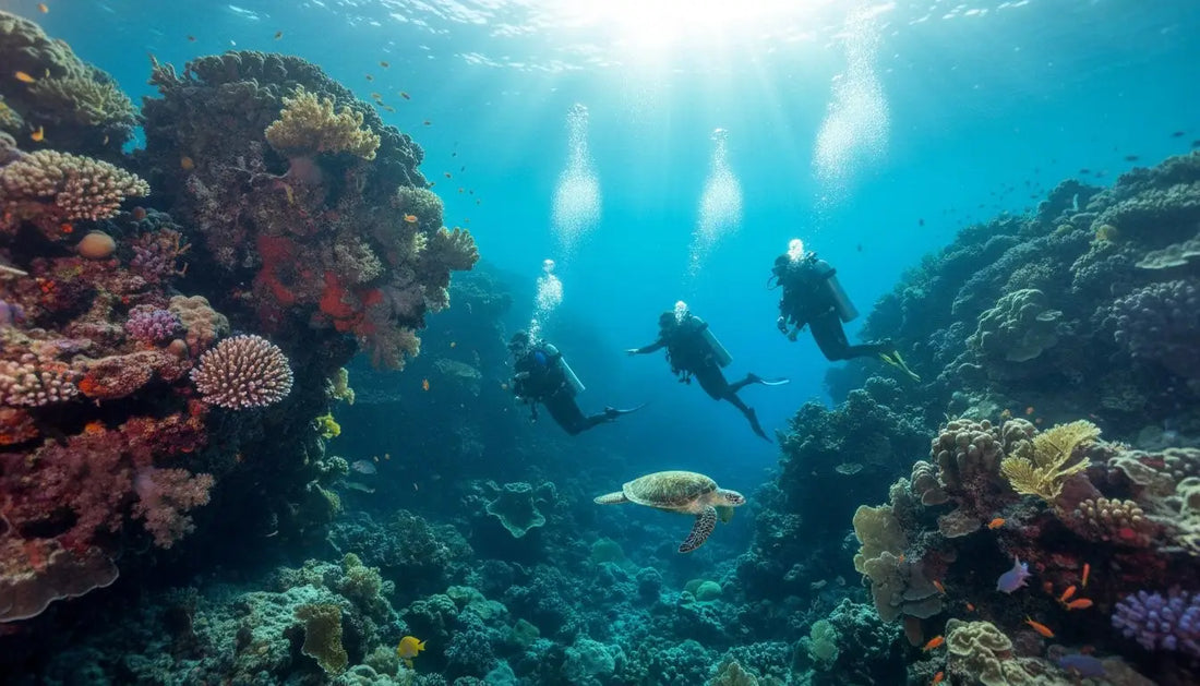 Cozumel Dive Shop Reviews 2026: How to Choose the Best Underwater Experience