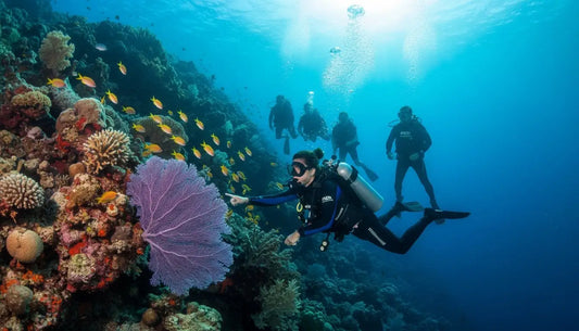 Cozumel Divemaster Internship Programs: Go Pro with the Dive Hub Family