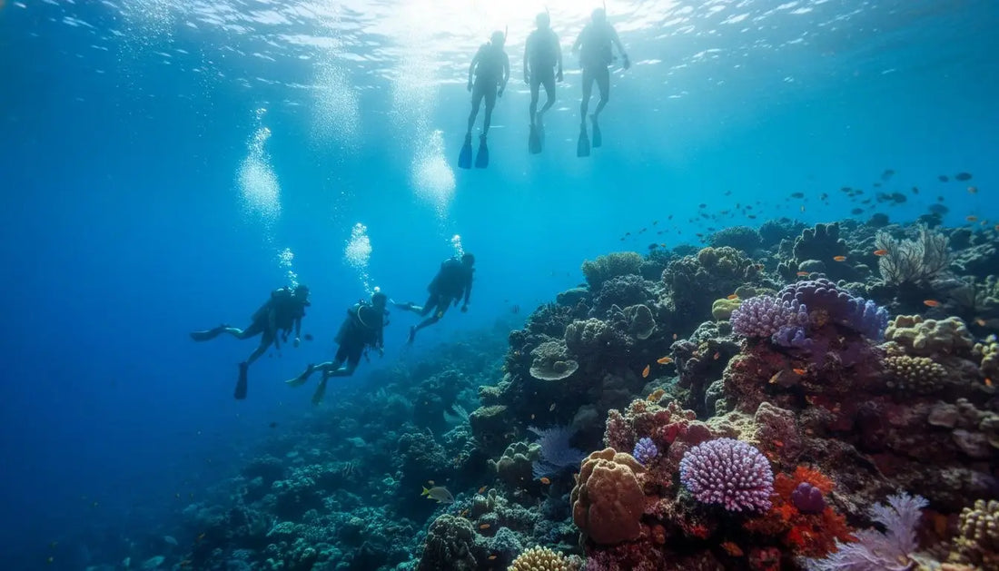 Cozumel Diving and Snorkeling Combo Tours: The Ultimate Group Guide for 2026