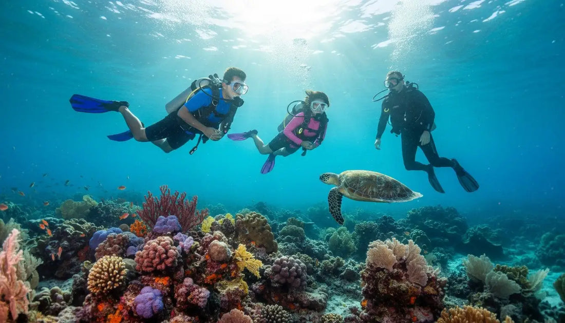 Cozumel Diving First Time Experience: Your Complete Beginner’s Guide to the Magic