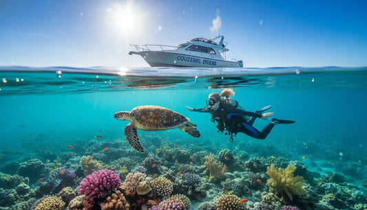 Cozumel Diving in July Weather: Your 2026 Guide to Summer Scuba