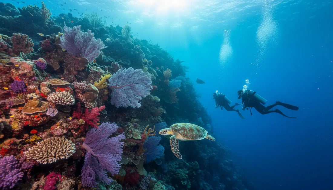 Cozumel Diving on a Budget: The Ultimate 2026 Guide to World-Class Value