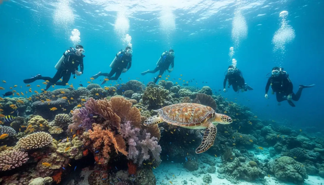 Cozumel Diving Packages for Groups: The Ultimate 2026 Planning Guide