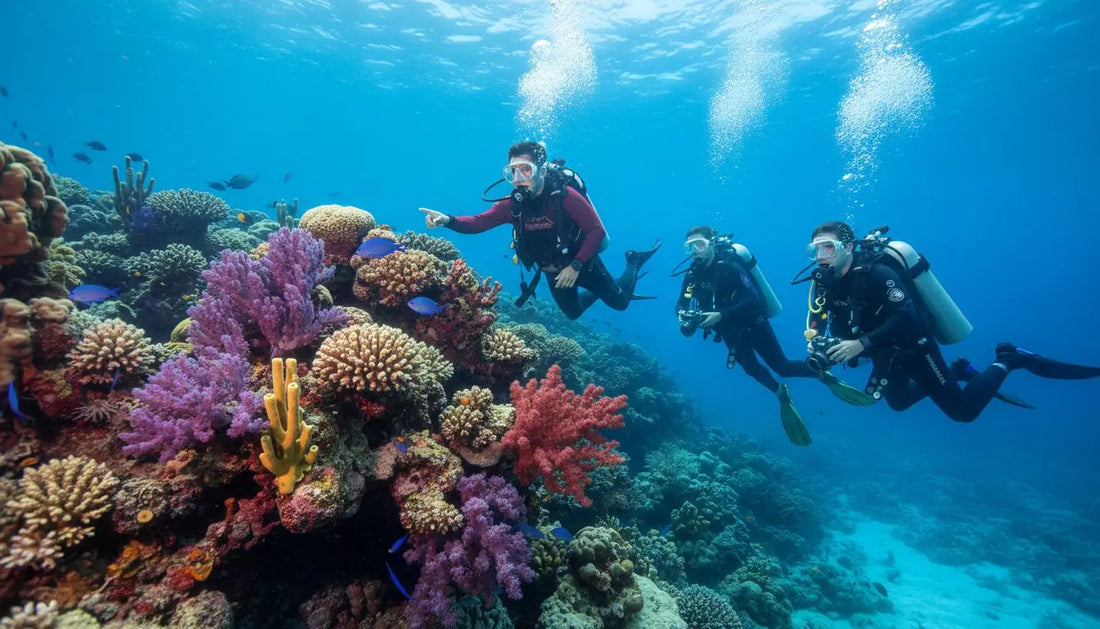 Cozumel Diving Safety: A Complete Guide to Standards & Best Practices